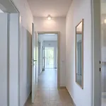 Ivan Appartement